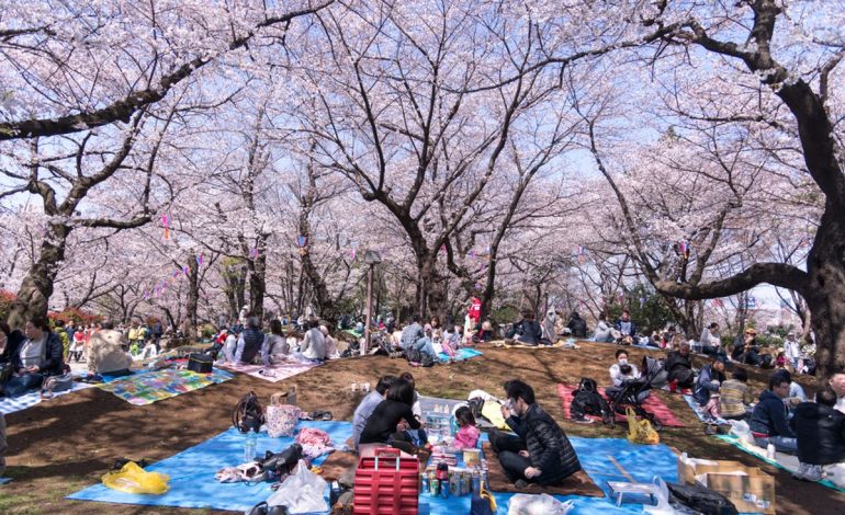Keunikan Budaya Dunia yang Menjadi Warisan Tak Ternilai